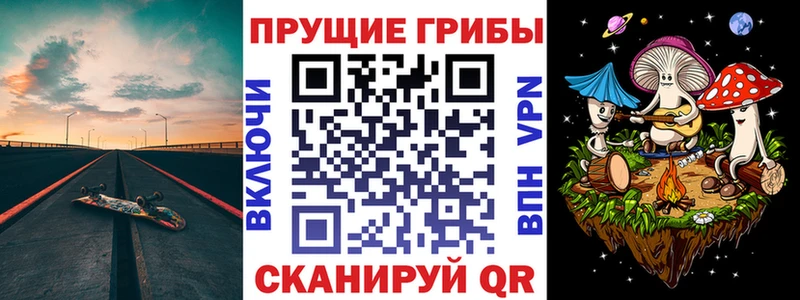 ОМГ ОМГ   Навашино  Псилоцибиновые грибы Psilocybine cubensis 