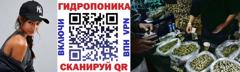 купить наркотики цена  Навашино  Бошки марихуана ГИДРОПОН 
